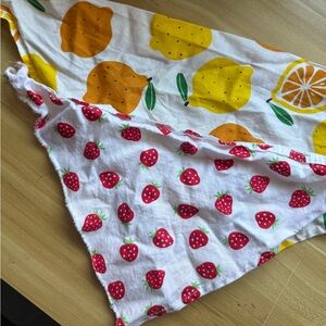 Precious fruit themed dog bandannas